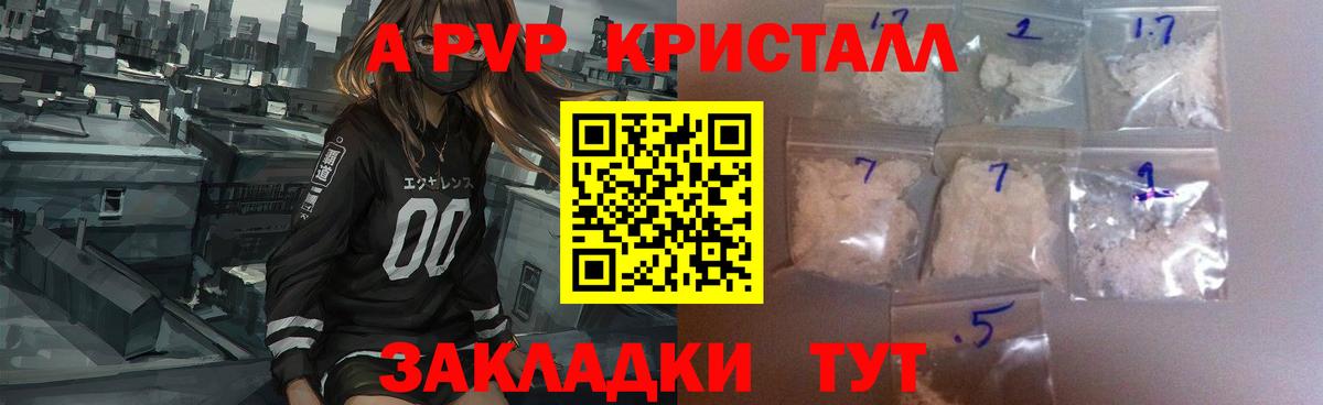 A PVP СК Саранск